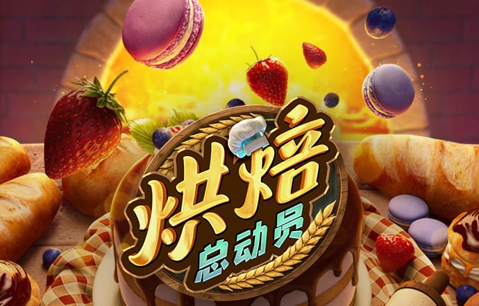 365速发国际有多少年了